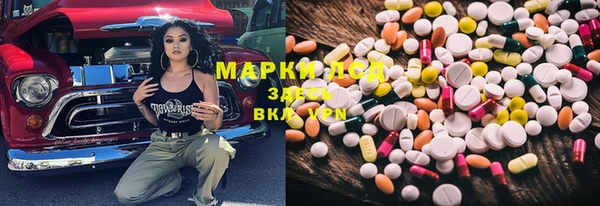 шишки Нязепетровск