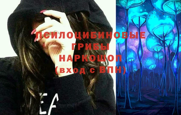 молекула духа Лагань