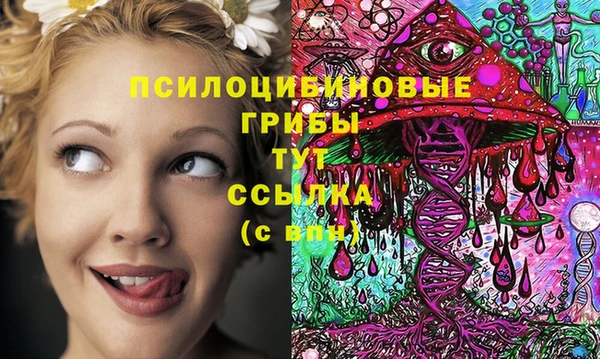 COCAINE Ладушкин