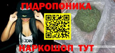 соль ск Будённовск