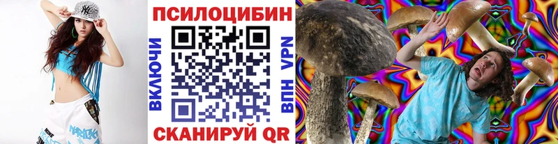 Псилоцибиновые грибы прущие грибы  Ярославль 