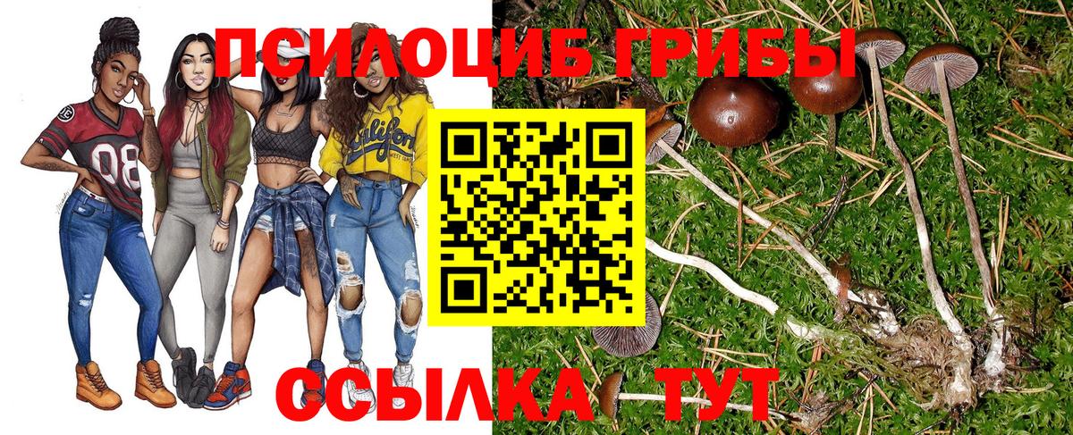 Псилоцибиновые грибы MAGIC MUSHROOMS  Ярославль 