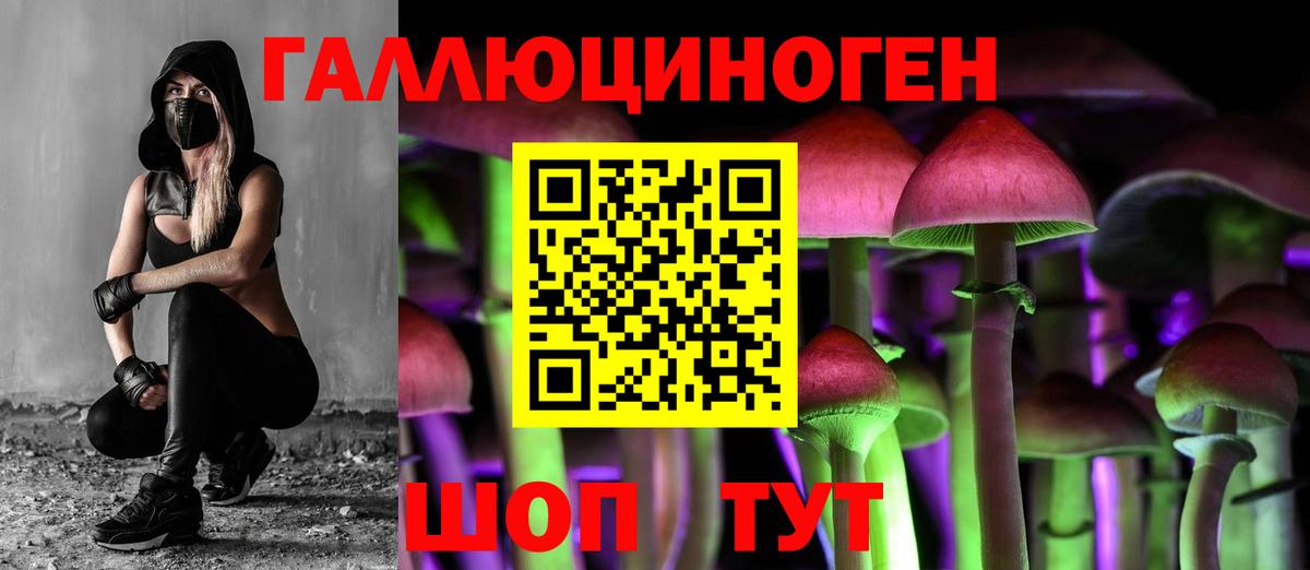 Псилоцибиновые грибы Psilocybine cubensis Ярославль