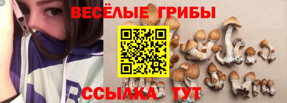 Ярославль  Галлюциногенные грибы мицелий  Вход с VPN 